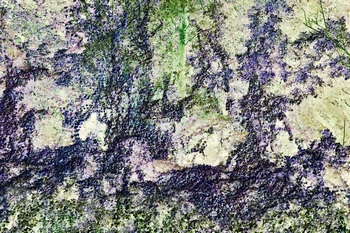 N 157D